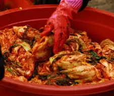 차원달라)진짜 차원이 다른 한국요리