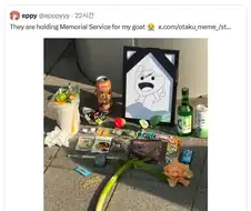 나 안죽었는데!.jpg