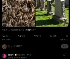 뉴욕주 이타카의 묘지 아래에서 발견되었다는 거대한 꿀벌 군집.twit