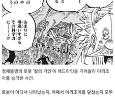 원피스) 매우 높은 확률로 고대병기들 동력문제 해결이 가능한 놈