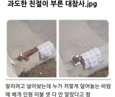 과도한 친절이 부른 대참사