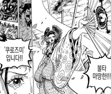 원피스)와노쿠니가 만들어낸 괴물
