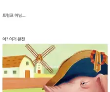 돼지의 눈과 인간의 눈