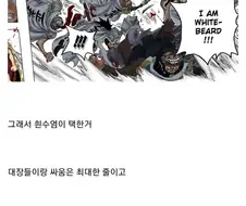 원피스 if) 흰수염이 정상전쟁 승리한 이유.jpg