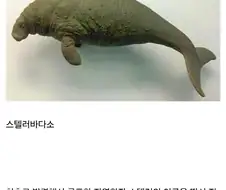 맛있어서 멸종 된 동물 jpg.