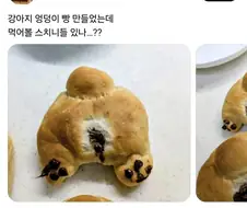 강아지 엉덩이빵