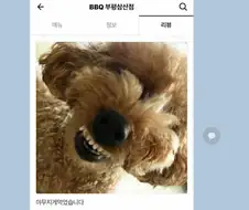 ㅆ1발 나 리뷰사진 잘못 올렸다