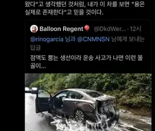 드래곤은 실존한다!!