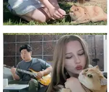 솔직히 개부러워서 악플 답니다.jpg