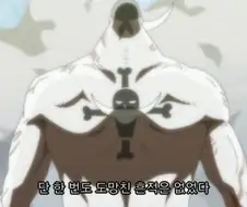 원피스) "단 한번도 도망친 흔적은 없었다"