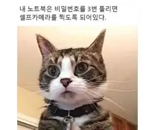 범인(?) 검거 현장.jpg