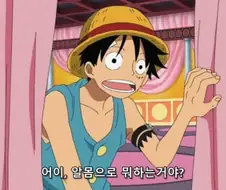[원피스]여자의 알몸을 보는 루피