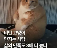 삶의 만족도를 3배 높이는 꿀팁