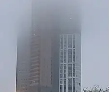 집 주변 뭔가 게임 배경같다