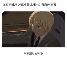 어떻게 돌아가는지 궁금한 조직.jpg