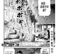 불법번역계의 레전드.manhwa