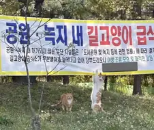 생존권을 주장하는 고냥희씨