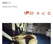 이게 그 주토피아2구나
