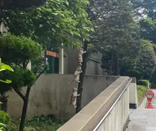 니들 고양이 태어나는거 본 적 있냐?
