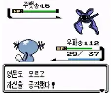 포켓몬이 영어공부를 해야하는 이유
