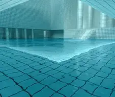 백룸)원전 최적화 백룸 구역