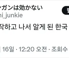 트릭컬) 트릭컬을 시작하고 나서 알게 된 한국 문화 목록