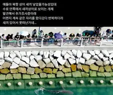 부산 상어가 공원을 못 떠나는 이유
