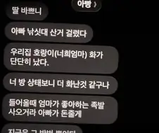 아빠가 딸에게 보낸 다급한 문자