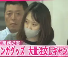 일본 서브컬쳐굿즈시장에서 좀 유명해진 43억엔의 여자