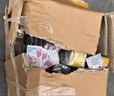 카사 등신대 회수 말고 다른거 터짐