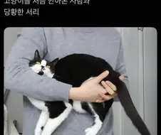고양이를 처음 안아본 사람