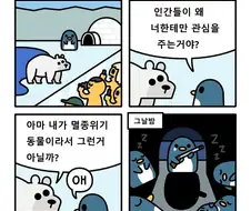 관심이 필요한 펭귄.manwha