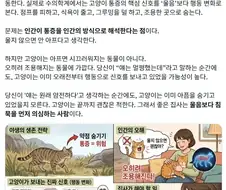고양이는 아픈 티를 숨기도록 진화했다.jpg