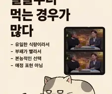고양이는 주인 죽으면 얼굴부터 먹는 경우가 많다.jpg