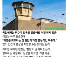 독일인 전과자라면 한번쯤은 최면을 배워야한다