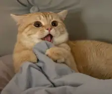 붉은 사막 하는데 억울함