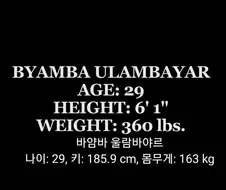 뭔가 여러가지가 섞인 스모선수.JPG