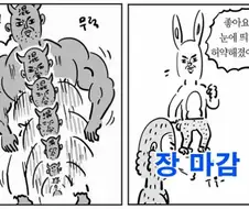 주식) 국장 특징