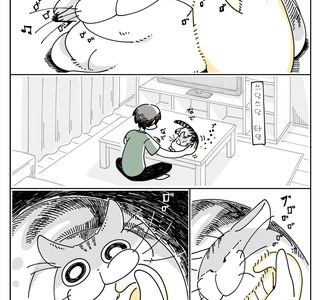 고양이가 리얼하게 귀여운.manhwa