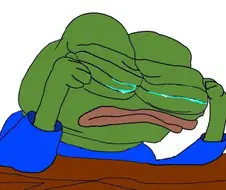 바퀴벌레 잡았어......................