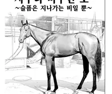 말딸?) 사쿠라 바쿠신 오 : 슬픔은 지나가는 비일 뿐.manhwa