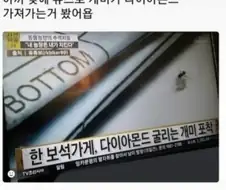 다이아몬드 가져가는 개미.jpg