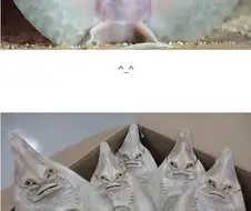 햇빛이 피부에 안좋다는 확실한 증거