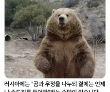 아주 멍청한 러시아 속담