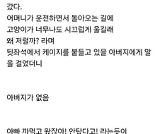 동물병원 다녀온 고양이가 울었던 이유