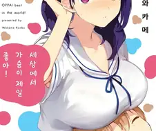 가슴이 좋은 만화
