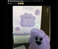 메타몽 펠트인형 제작 했을 뿐...