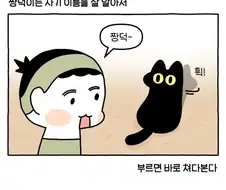 어느 쪽으로 돌아볼지 고민하는 고양이 manhwa