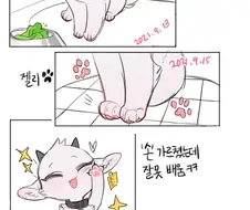 애완 염소 키우는 만와