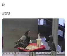 "패스트푸드점에서 수상한 모의를 하는"